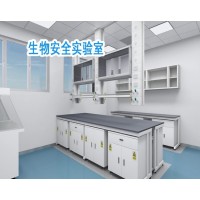 生物安全實驗室潔凈實驗室凈化工程方