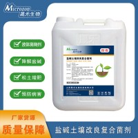 鹽堿土壤改良復(fù)合菌劑