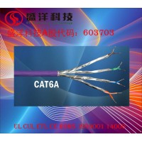 盛洋科技供應高品質FFTPCAT6A超六類網絡線