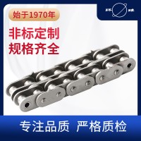 尖齒鏈 輸送鏈 環(huán)球鏈條 非標定制 實力廠家