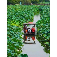 蘇州少兒暑假夏令營賞千畝荷花人與自