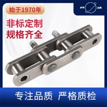 煤機鏈 工程鏈 環(huán)球鏈條 實力鏈條廠家