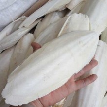 印尼墨魚骨進(jìn)口報關(guān)流程和資料詳解