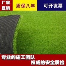 拉薩幼兒園人工草坪，幼兒園假草坪，