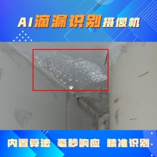 博瓦科技 化工廠AI滴漏監測預警系統 行為識別算法 可