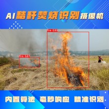 博瓦科技 秸稈焚燒監控攝像機智能監測預警 AI智能秸稈焚燒識別攝