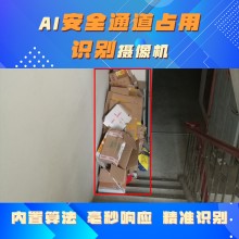 博瓦科技 安全通道占道監(jiān)測(cè)識(shí)別系統(tǒng) 