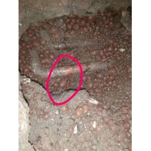 廣州專業(yè)埋地管檢測探漏公司，無損地面精準定漏點