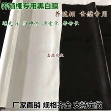 養殖棚黑白膜 養殖食用菌青儲遮光膜 