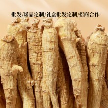 ?廣新參業西洋參批 發-價 格加拿大進口西洋參源之寶 精選尖尾5g款