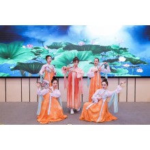 西安提供舞龍舞獅，開業(yè)慶典，公司晚
