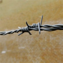 重慶現(xiàn)貨不銹鋼絲刺繩廠家供應渝中鋼絲刺繩江北電鍍鋅刺繩