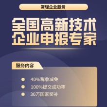高新技術(shù)企業(yè)申報(bào)服務(wù)