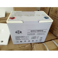 湖南雙登蓄電池UPS蓄電池12V-65AH鉛酸免維護(hù)蓄電池直