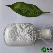超活性二氧化鈦光觸媒微珠 CY05Q
