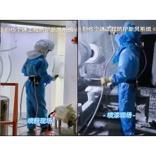 EHS個體工程安全防護新風系統供氣式全面罩系列