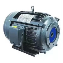 AEEF100L-4油泵電機Fluidman