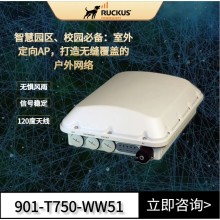Ruckus戶外AP 優科901-T750-WW51室外定向AP企業級WiFi6路由器