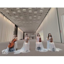 提供西安樂隊演出，主持人，舞獅演出