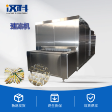 隧道式鎖鮮速凍機 海產品加工速凍設