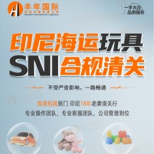 豐年國際物流：中國玩具出口印尼全包服務(wù)