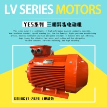 二級(jí)能耗YE4-200L-4-30KW異步電動(dòng)機(jī)GB18613-2020節(jié)能馬達(dá)
