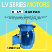 雙速電動(dòng)機(jī)Y2DT-180M-4/6-15.5/5.1KW馬達(dá)立式戶外防腐電動(dòng)機(jī)