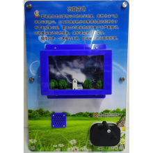 仿真雷電