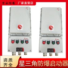 廠家定制防爆星三角啟動啟動器在工業