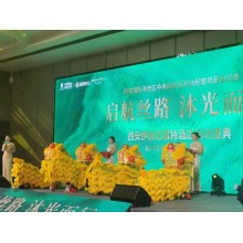 西安提供古箏獨奏  秦腔演出  茶藝師演出  開業鑼鼓  機甲演出