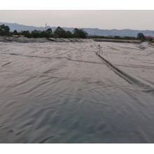 垃圾填埋場覆蓋0.75mm厚高密度聚乙烯hdpe土工膜