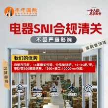 豐年國際物流中國電器出口印尼專線雙清包稅