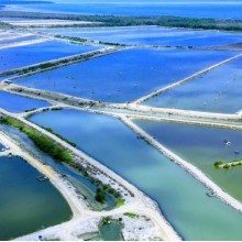 8米寬210米長厚度是1.0mm的hdpe土工