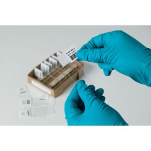 B-481 耐低溫聚酯標(biāo)簽