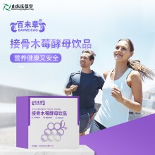 接骨木莓酵母飲品  源頭廠家品牌定制 山東慶葆堂