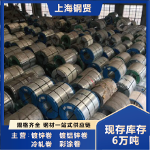 高品質(zhì) 無花鍍鋅板 0.5 0.6 0.75 1.0 1.2規(guī)格齊全