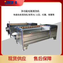 桔梗去皮清洗機(jī) 毛輥清洗機(jī) 去皮清洗